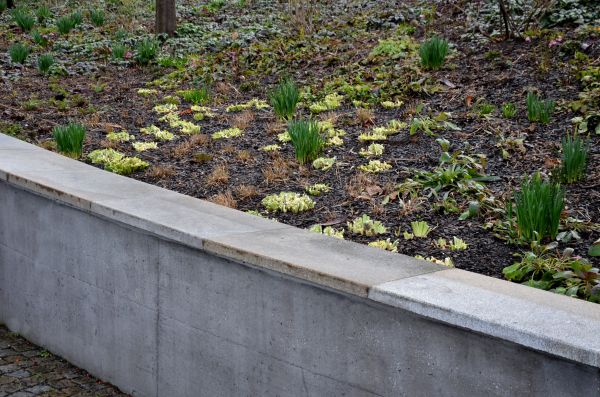 Concrete Wall Construction in Bowling Green