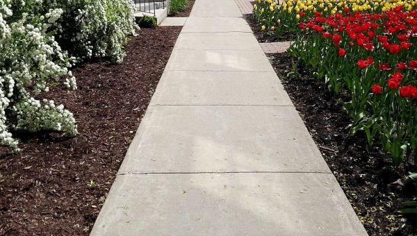 Sidewalk Concrete Replacement in Bowling Green