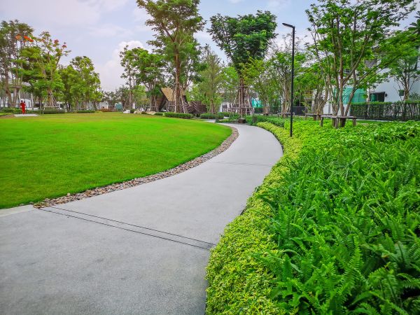 Cement Walkway Service in Bowling Green
