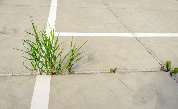 Concrete Parking Installation in Bowling Green